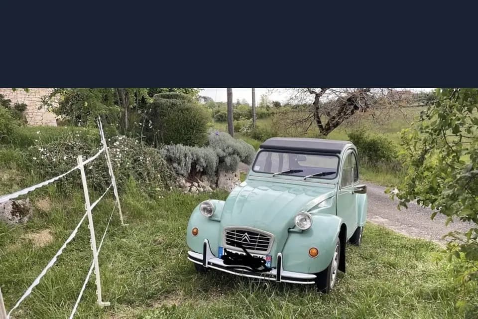 Emotions Traction — photo 1