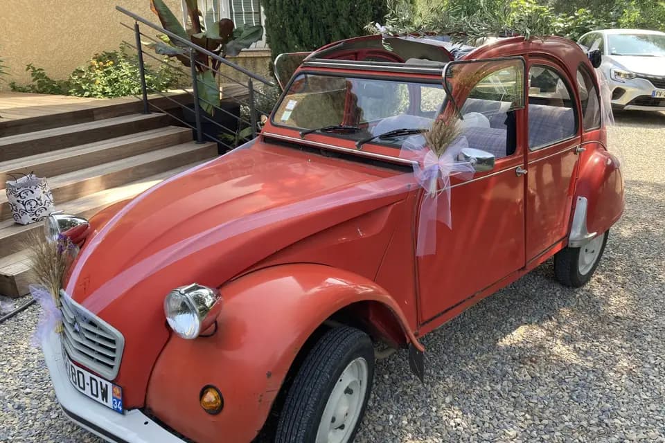 Emotions Traction — photo 3