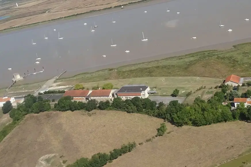 Compagnons des jours heureux — photo 6