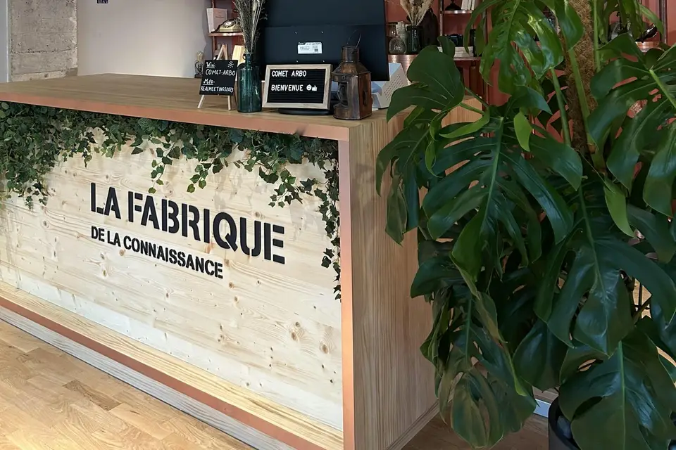 Evenoria — photo 7