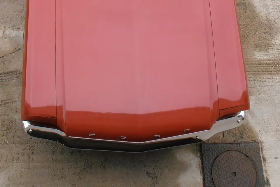 José Pujol — photo 8