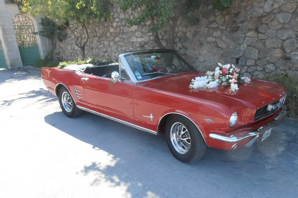 José Pujol — photo 4