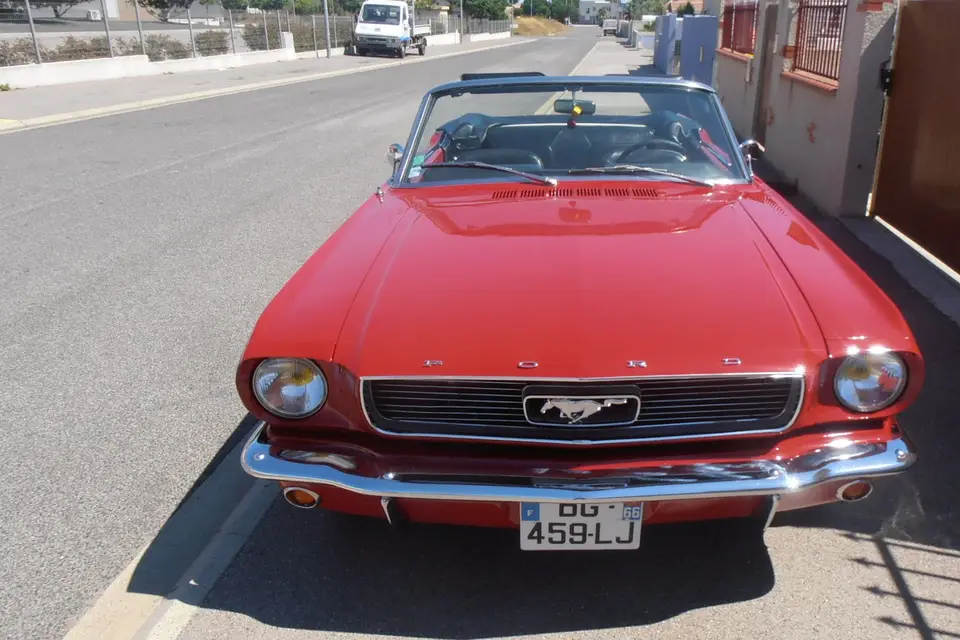 José Pujol — photo 6