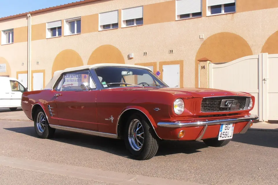 José Pujol — photo 7