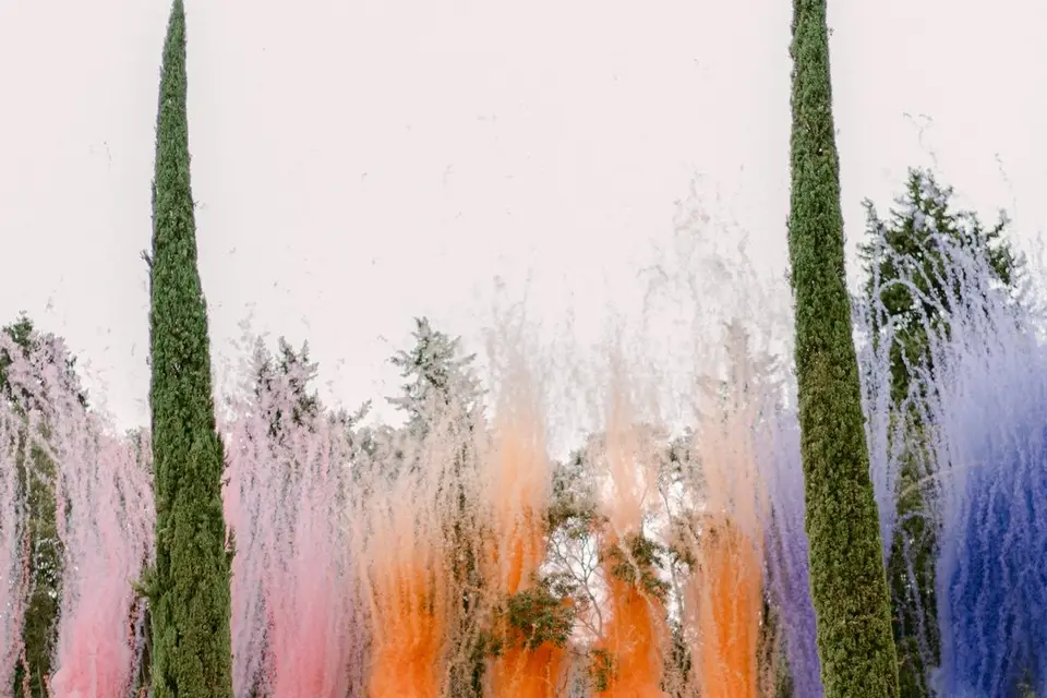 BS Event's — photo 5