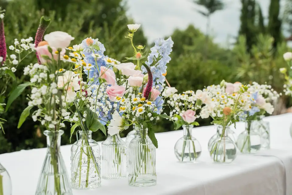 Les Cocottes — photo 2