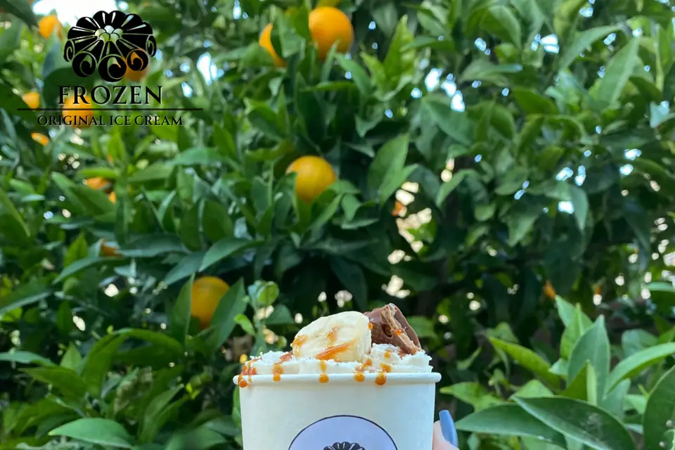 Frozen-Original Ice Cream — photo 5