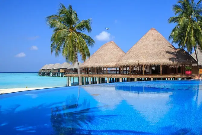 Fancy Voyages — photo 6