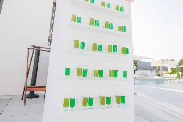 Alyson Decors — photo 6