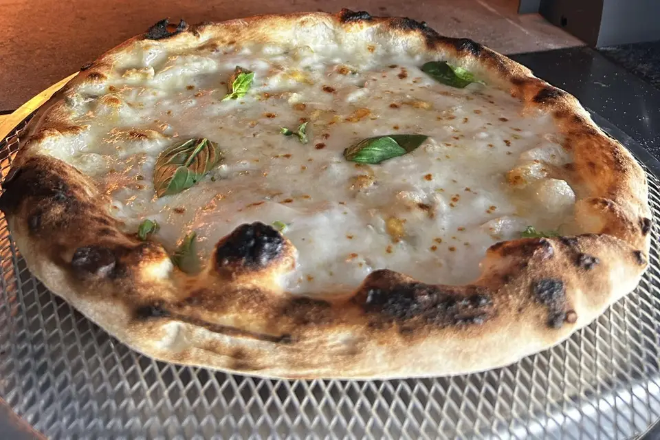 Scugnizzo — photo 1