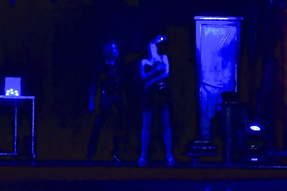 Horizon Magic — photo 4