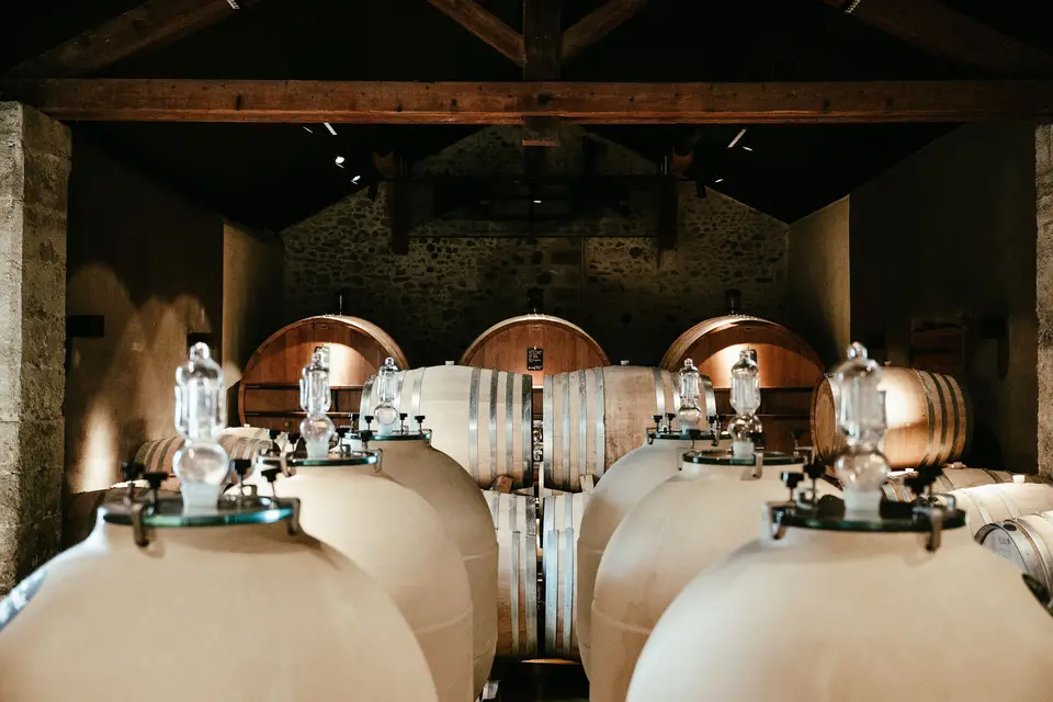 Domaine de la Dourbie — photo 4