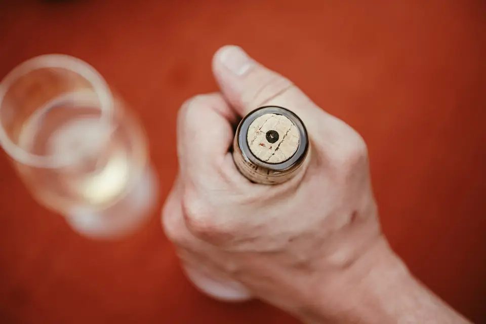 Domaine de la Dourbie — photo 6