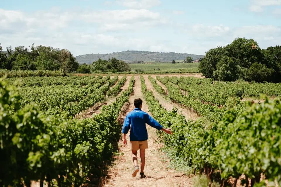 Domaine de la Dourbie — photo 8