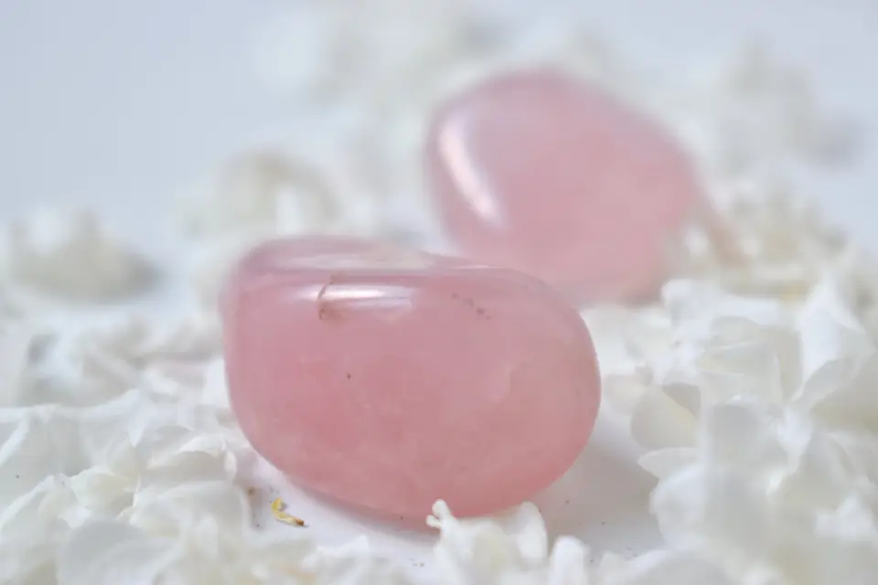 Gold & Moon — photo 3