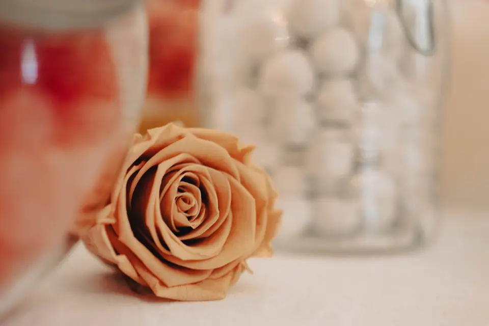 JFPVideos — photo 2