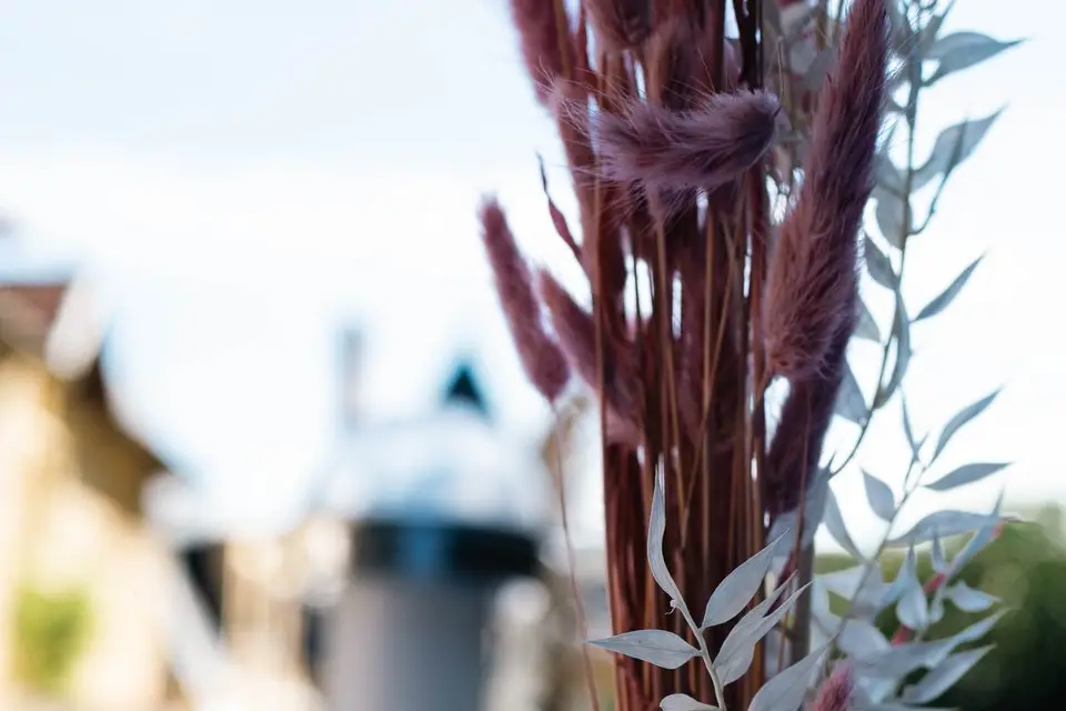 JFPVideos — photo 7