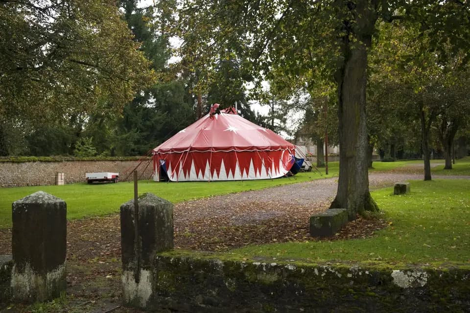 Cirka Danse — photo 1