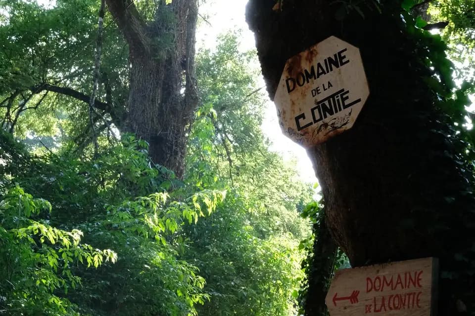 Domaine de la Contie — photo 6