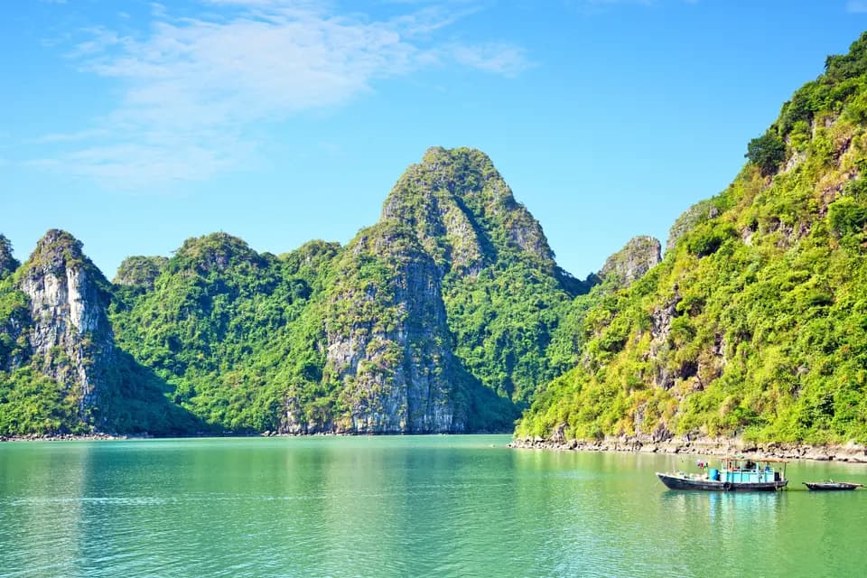 Asie Online — photo 7