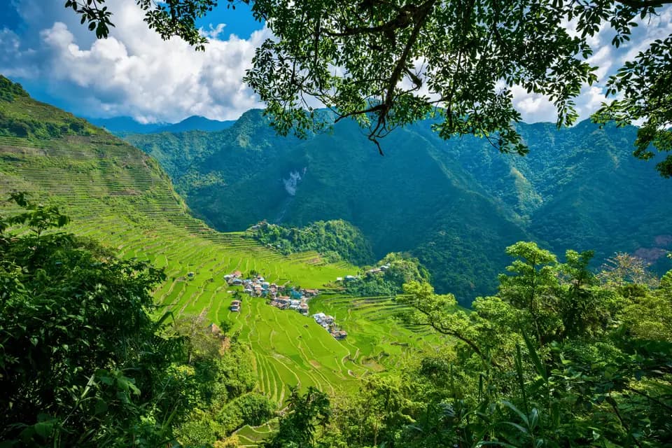 Asie Online — photo 2