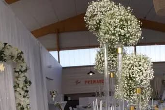 Primavera — photo 8