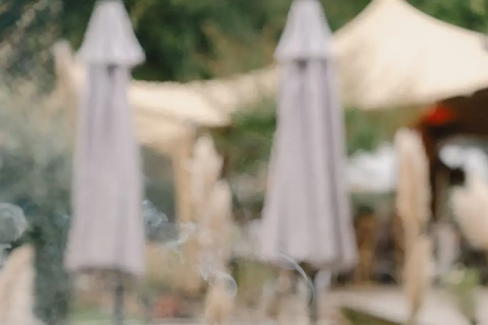 Le Régal Des Papilles — photo 5