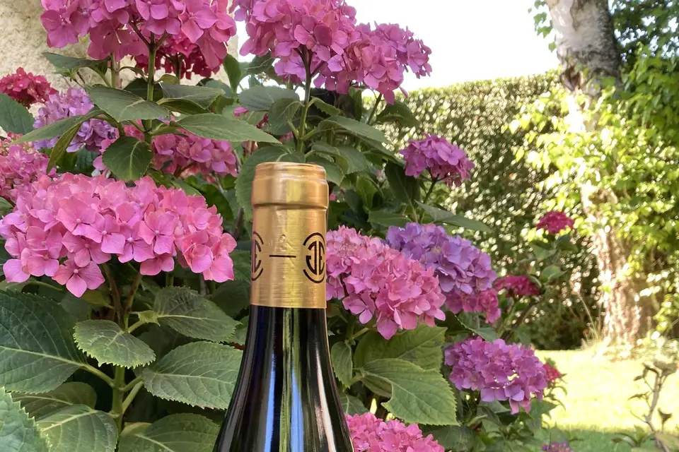 Confidentiel Maison de Vins — photo 1