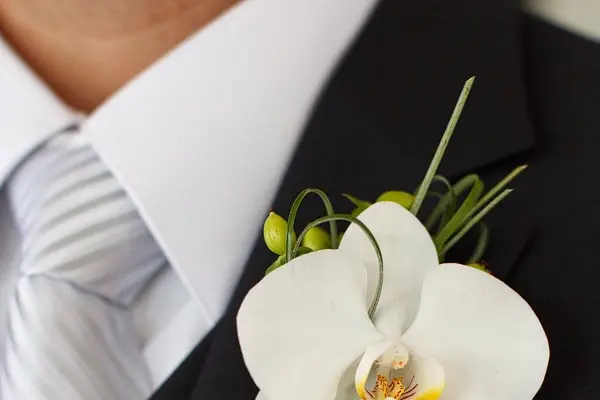 Jean Louis Amice — photo 7