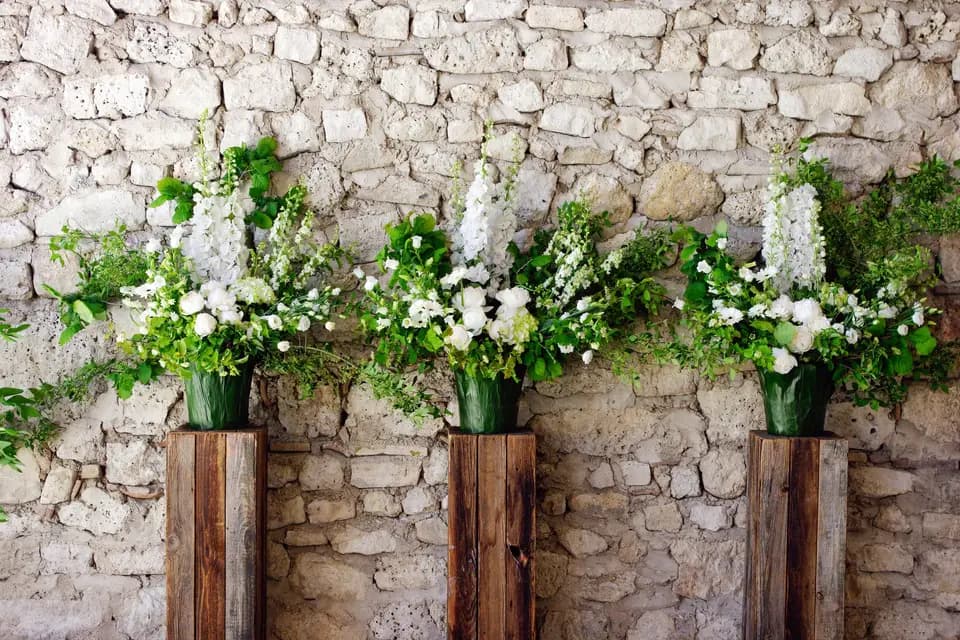 Jean Louis Amice — photo 1