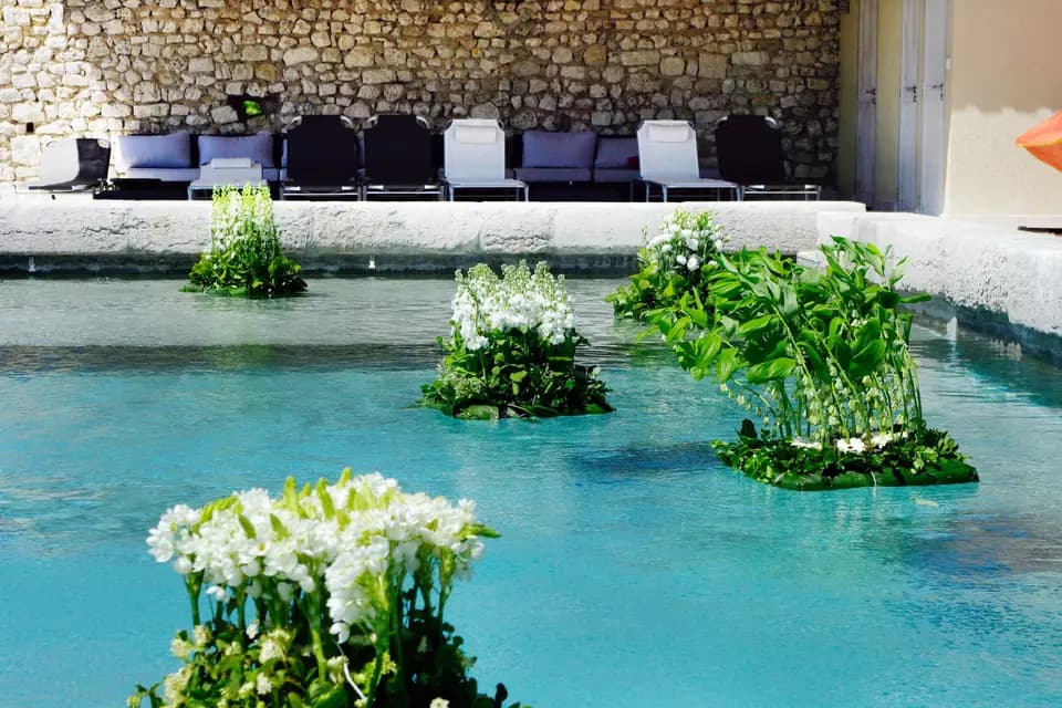 Jean Louis Amice — photo 5