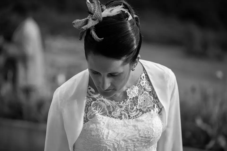 LuxVision — photo 5