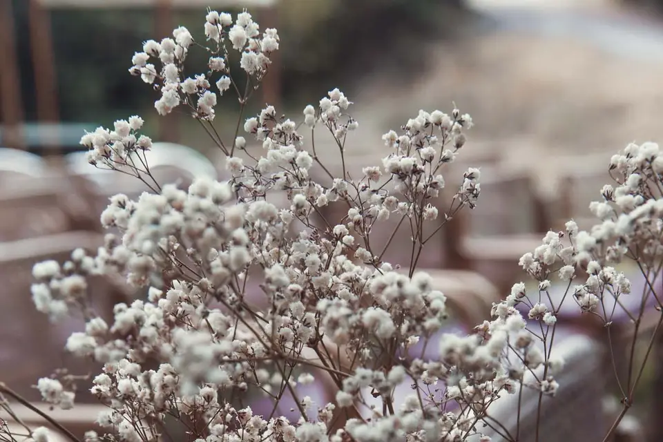 Emilie Trontin Photographe — photo 7