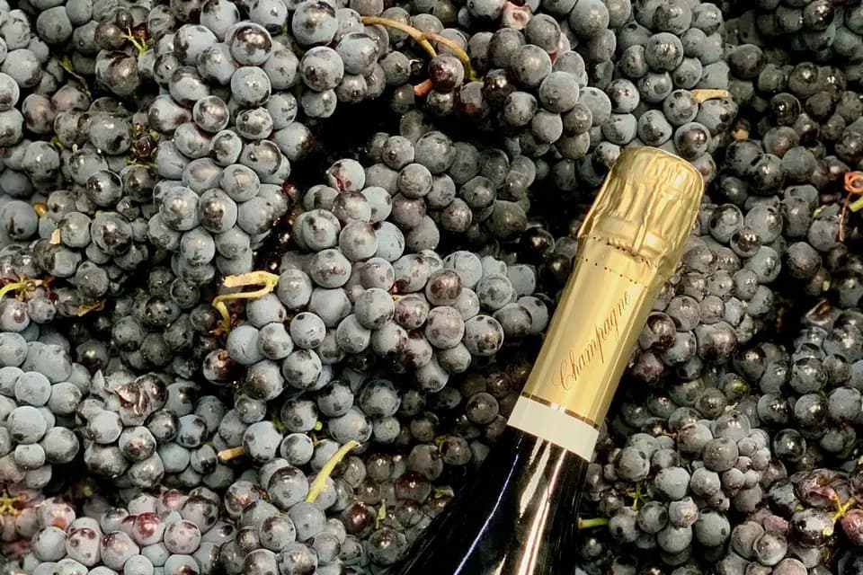 Champagne André Dormay