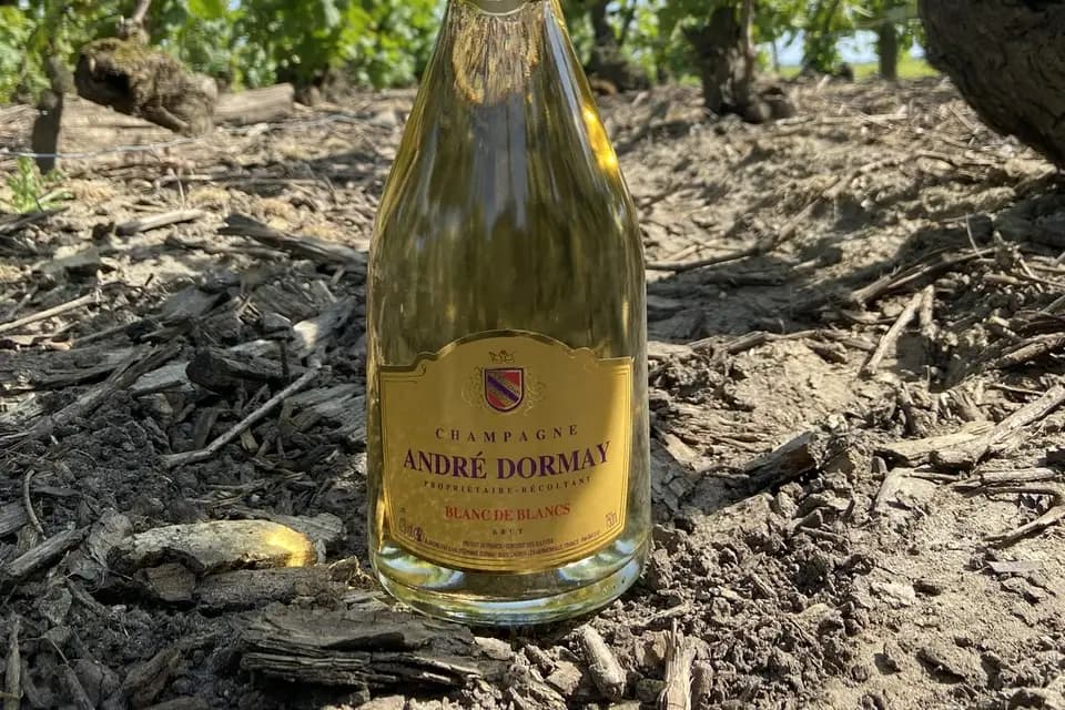 Champagne André Dormay — photo 2