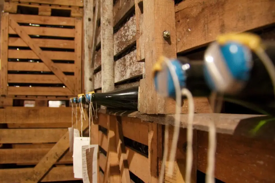 Champagne André Dormay — photo 4