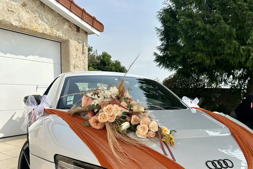 Marion Fenech — photo 8