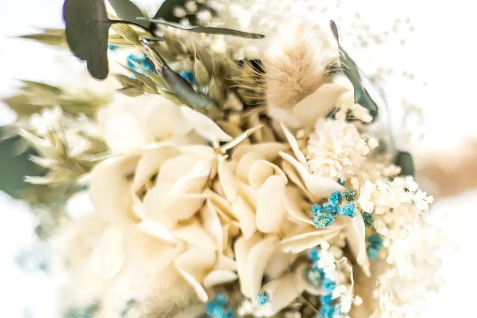 Réconciliation Végétale — photo 4