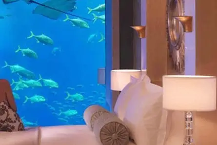 Captours — photo 7