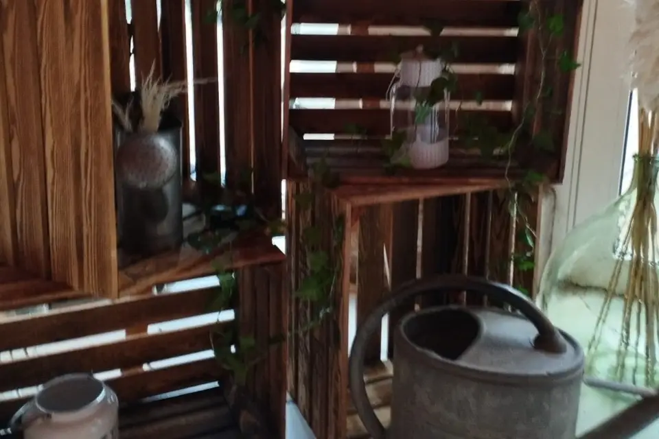 Les Z'événements de Julie — photo 2