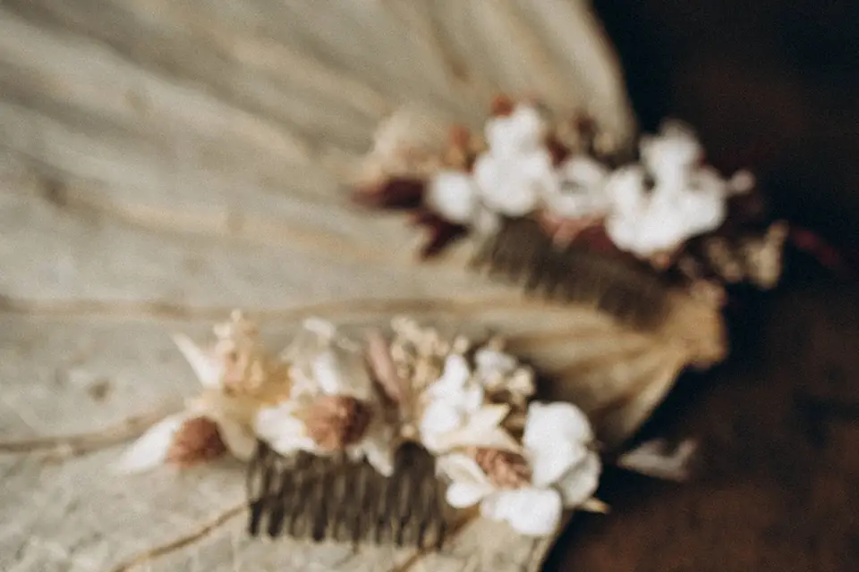 Labo Sauvage — photo 2