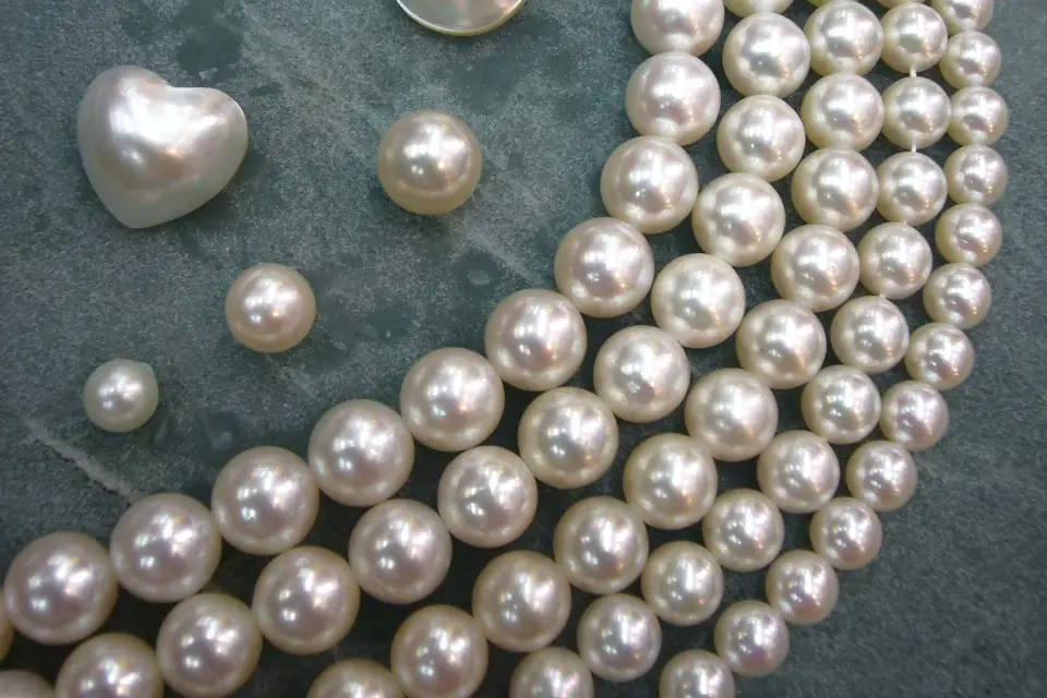 Fav Gallery — photo 2