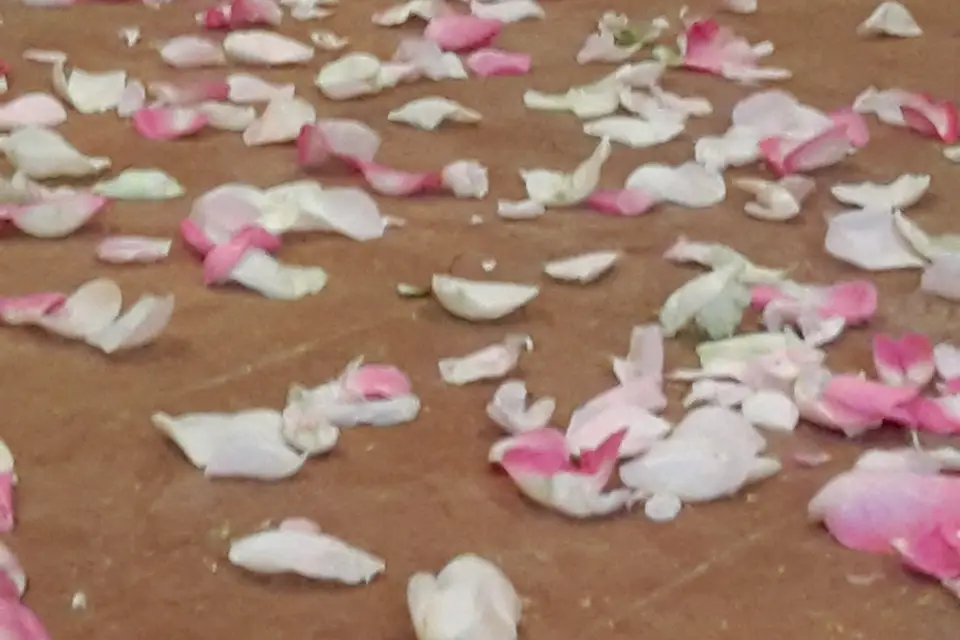 À la Clé des Champs — photo 6