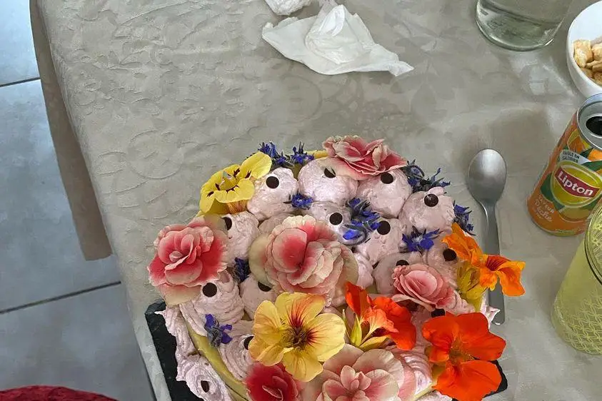 Veg'yann — photo 1