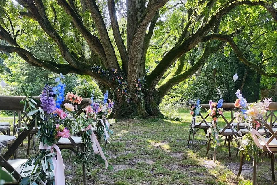 Holland Fleurs — photo 3