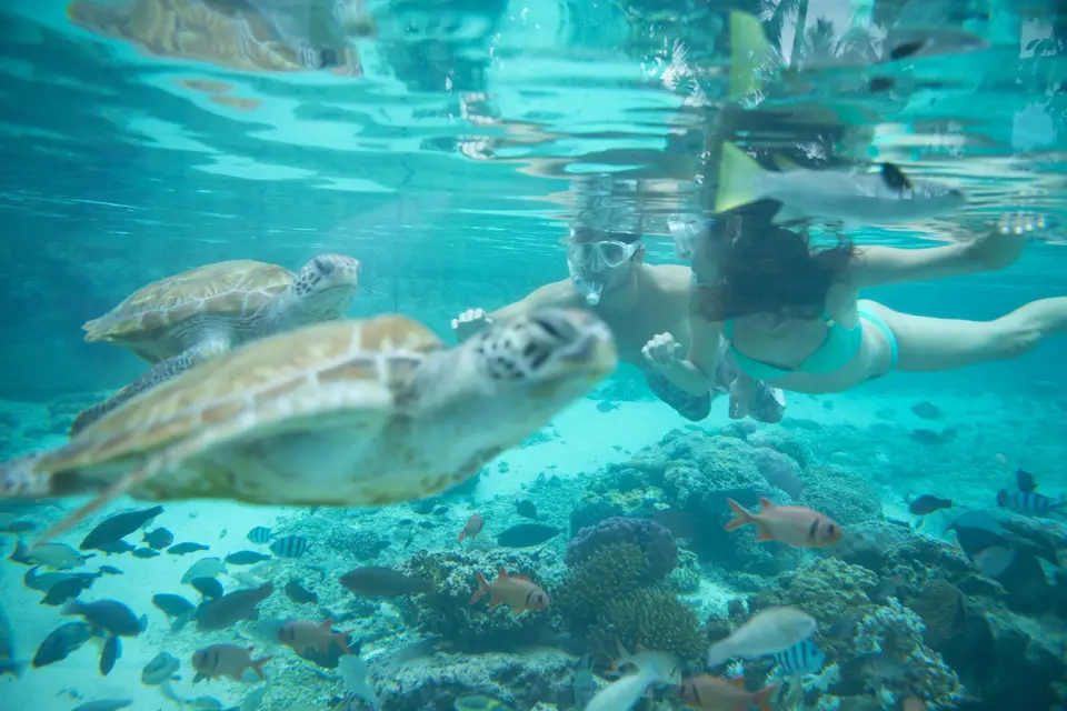 Côté Voyages by Célia — photo 3