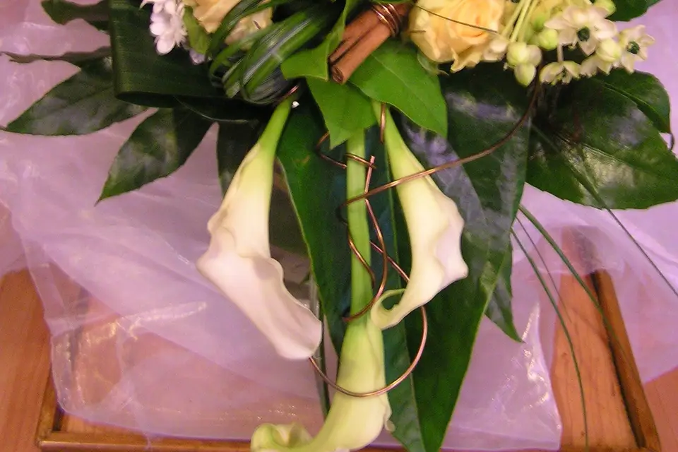 Les Fleurs du Moulin — photo 3