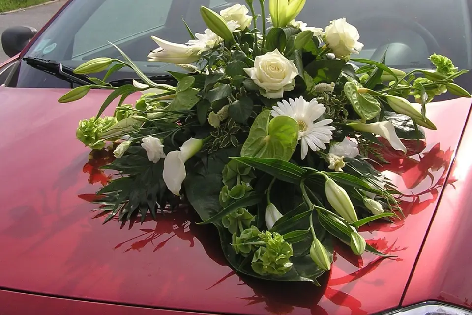 Les Fleurs du Moulin — photo 2