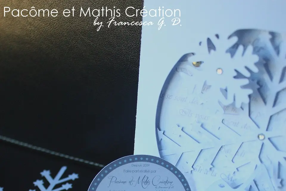 Pacome et Mathis Creation — photo 2