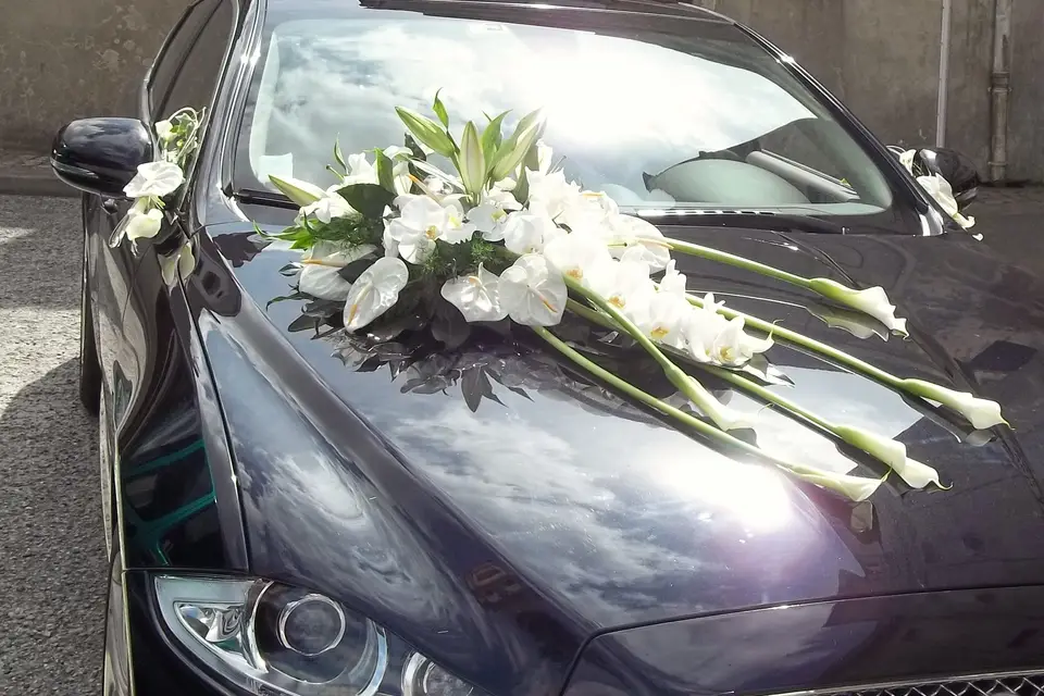 Aux Boutons d'Or — photo 3